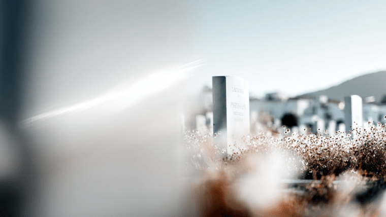 Palikimo priėmimas faktiškai pradėjus valdyti turtą: ką būtina žinoti įpėdiniams